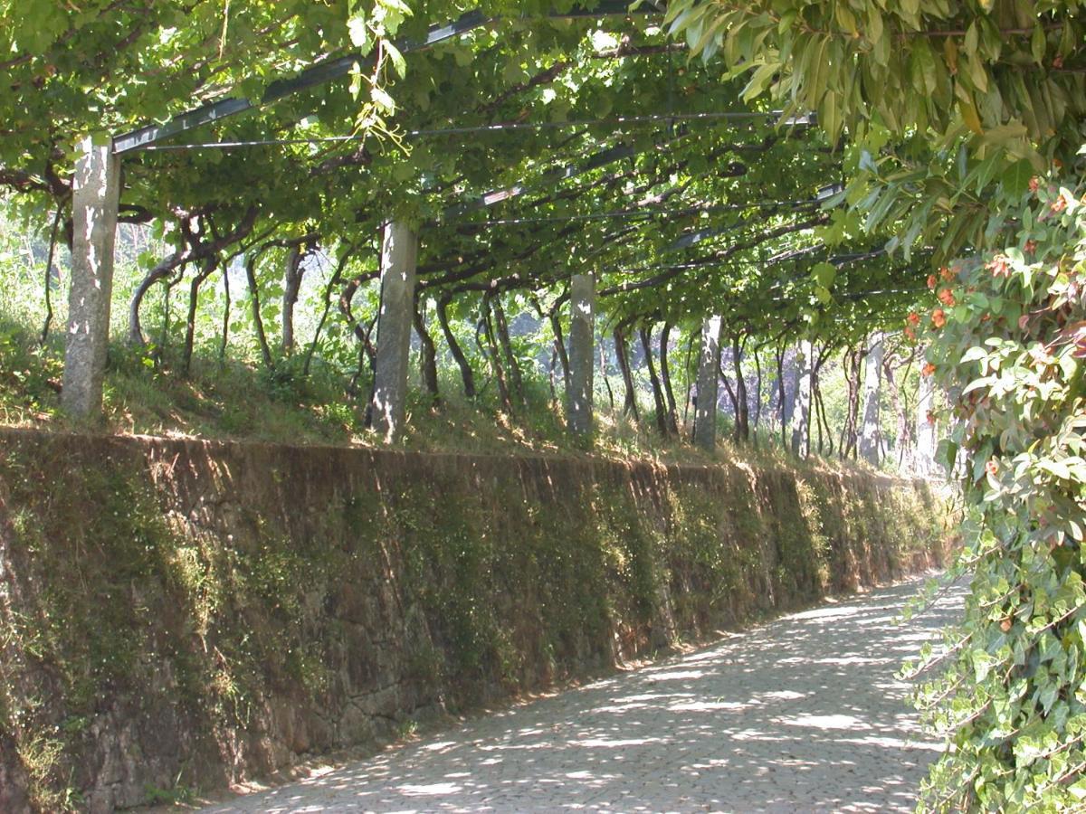 Quinta Da Tapada Villa Lousada Exterior foto